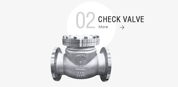 Check Valves