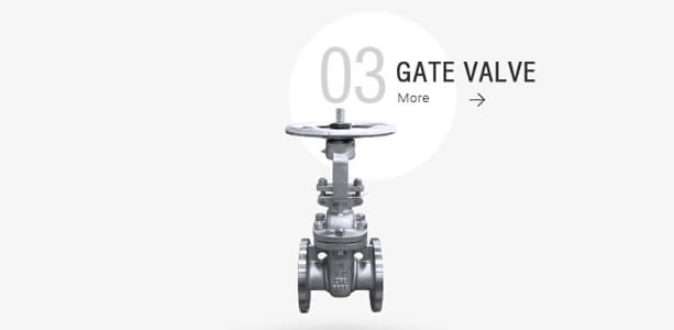 Gate Valves