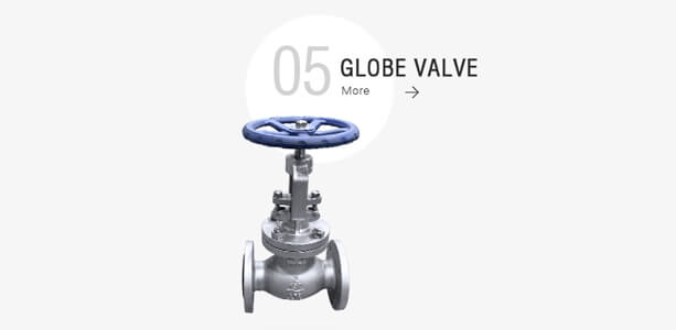 Globe Valves