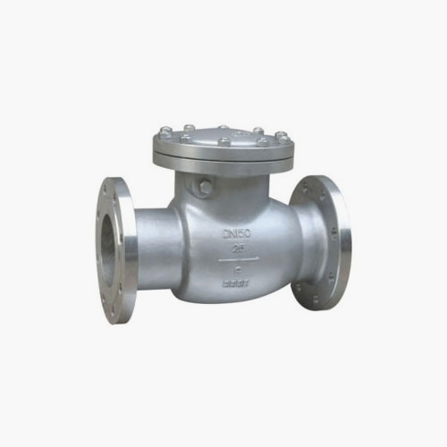 Swing Flange Check Valve