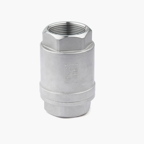 Vertical Check Valve